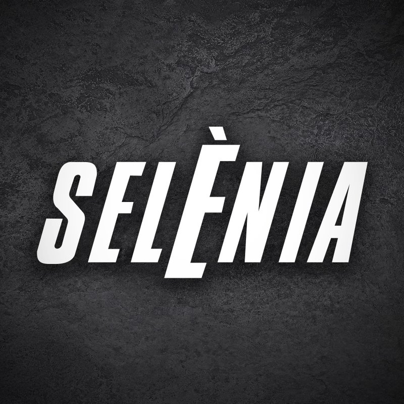 Adesivi per Auto e Moto: Sel&egrave;nia