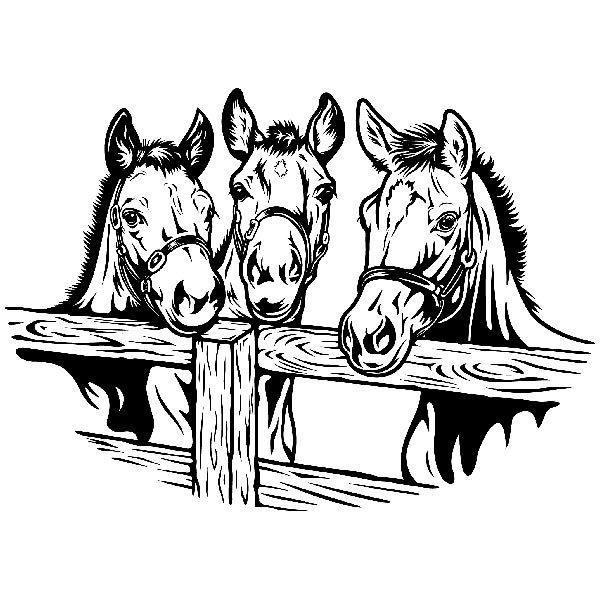 Adesivi Murali: Tre cavalli