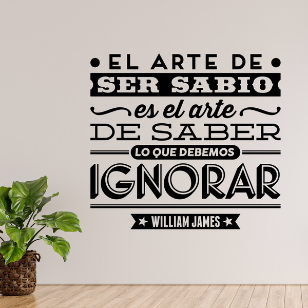 Adesivi Murali: El arte de ser sabio - William James