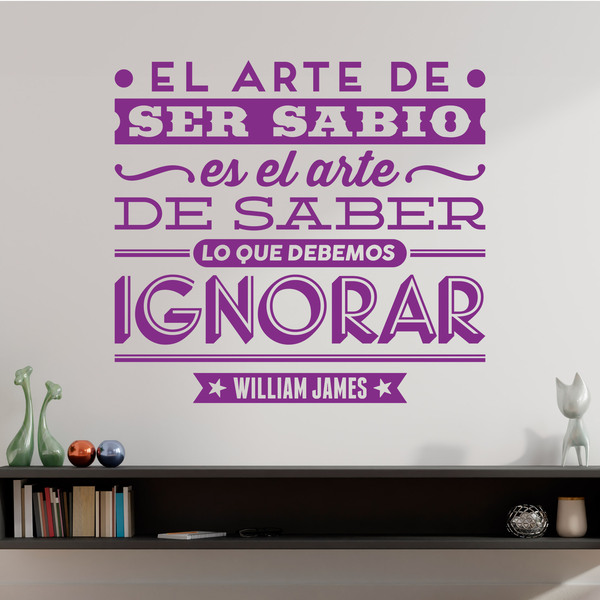 Adesivi Murali: El arte de ser sabio - William James