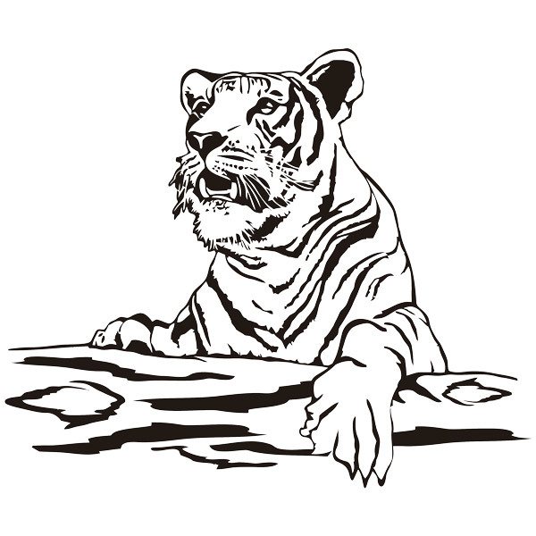 Adesivi Murali: Tigre su un tronco