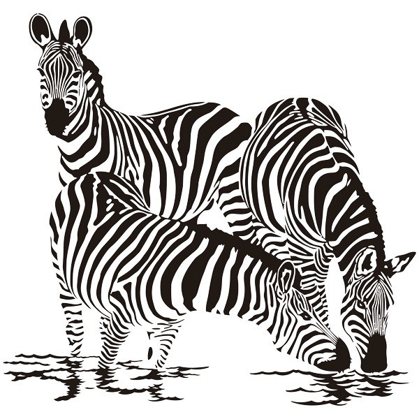 Adesivi Murali: Zebre nel fiume