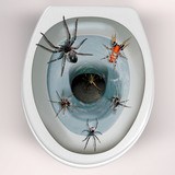 Adesivi Murali: I ragni che esce dal water 4