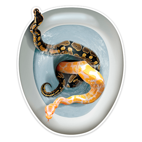 Adesivi Murali: Serpenti proveniente dalla ciotola