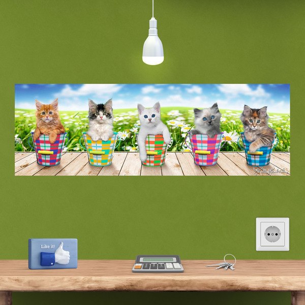 Adesivi Murali: Poster adesivo 5 gattini 1