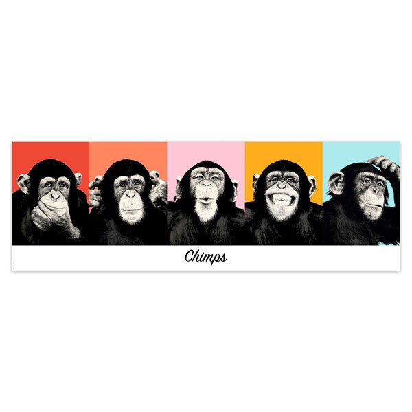 Adesivi Murali: Poster adesivo di 5 scimpanzé