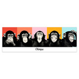 Adesivi Murali: Poster adesivo di 5 scimpanzé 4