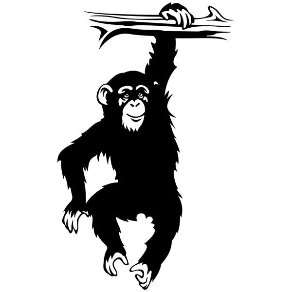 Adesivi Murali: Scimpanzé sul ramo