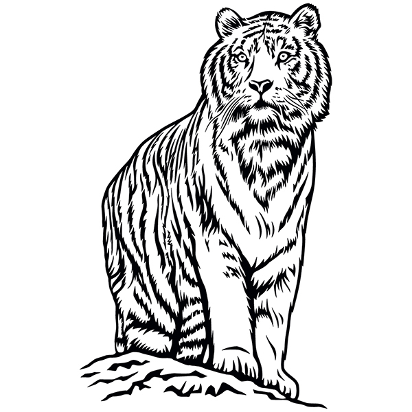 Adesivi Murali: Tigre del Bengala