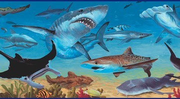 Adesivi per Bambini: Confine Sharks