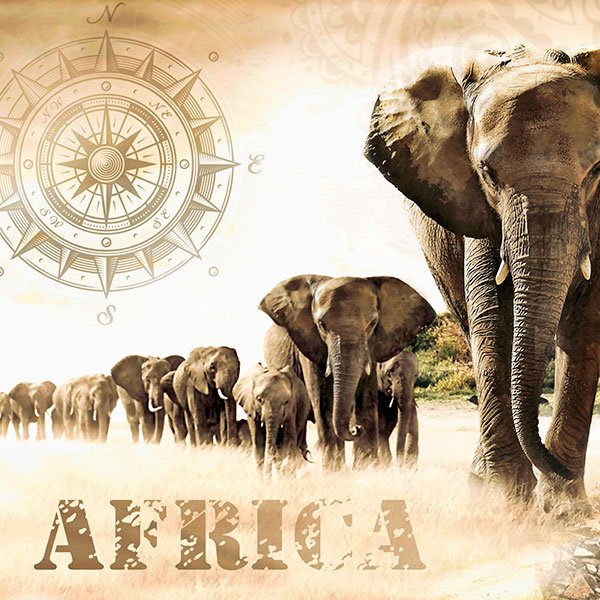Adesivi Murali: Collage Paesaggio Africano