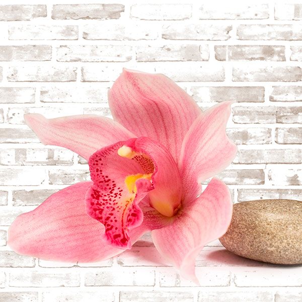 Adesivi Murali: Bouquet di orchidee