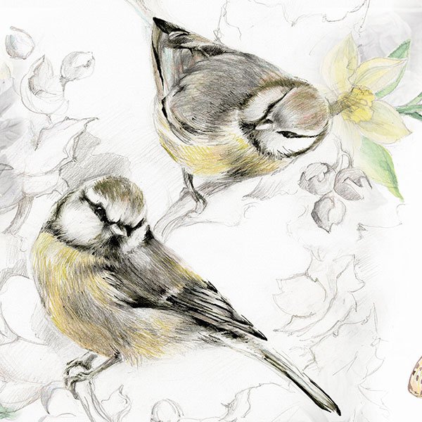 Adesivi Murali: Uccelli dipinti