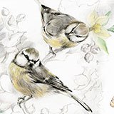 Adesivi Murali: Uccelli dipinti 3