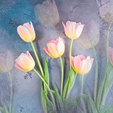 Adesivi Murali: Tulipani dipinti 3