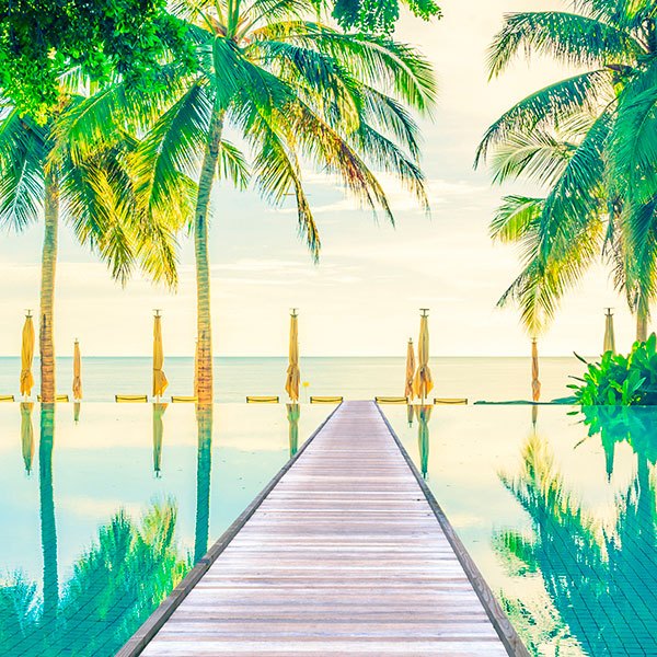 Piscina tropicale con palme e passerella 2/2