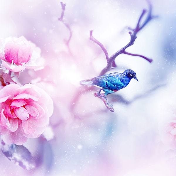 Adesivi Murali: Colibrì e rami in inverno
