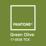 Adesivi Murali: Pantone Green Olive 3
