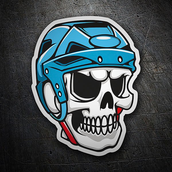 Adesivi per Auto e Moto: Skull Skater