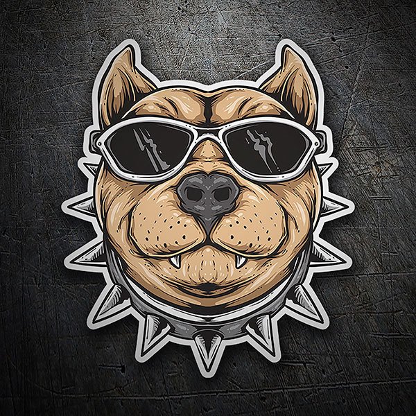 Adesivo Paraurti INDIGOS UG | Testa Di Pitbull 120x110 Mm | Nero, Resistente Ai Raggi UV | Decalcomania Auto Moto | Regalo Per Amanti Dei Cani