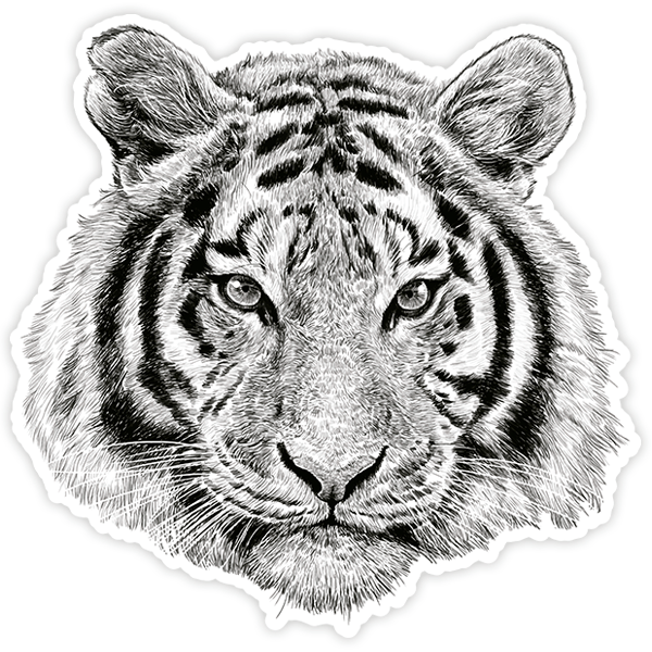 Adesivi per Auto e Moto: Testa di tigre bianca
