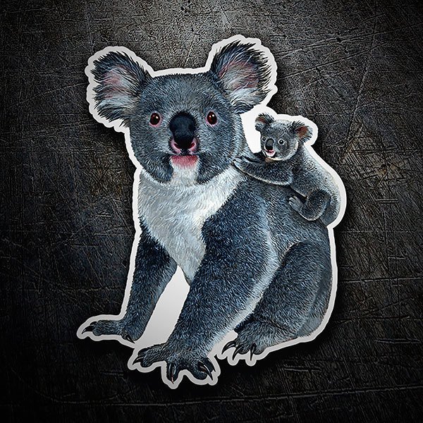 Adesivi per Auto e Moto: Koala con covata