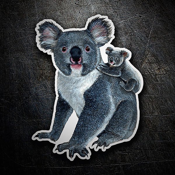 Koala con cucciolo 1/1