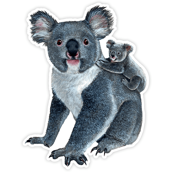 Adesivi per Auto e Moto: Koala con covata