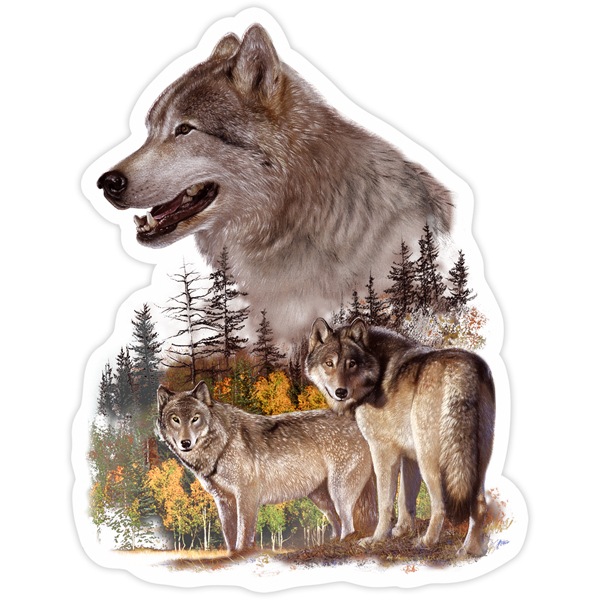 Adesivi per Auto e Moto: Coppia di lupi