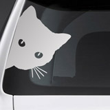 Adesivi per Auto e Moto: Gatto Curioso 3