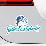 Adesivi per Auto e Moto: Galicia Calidade Colore 4