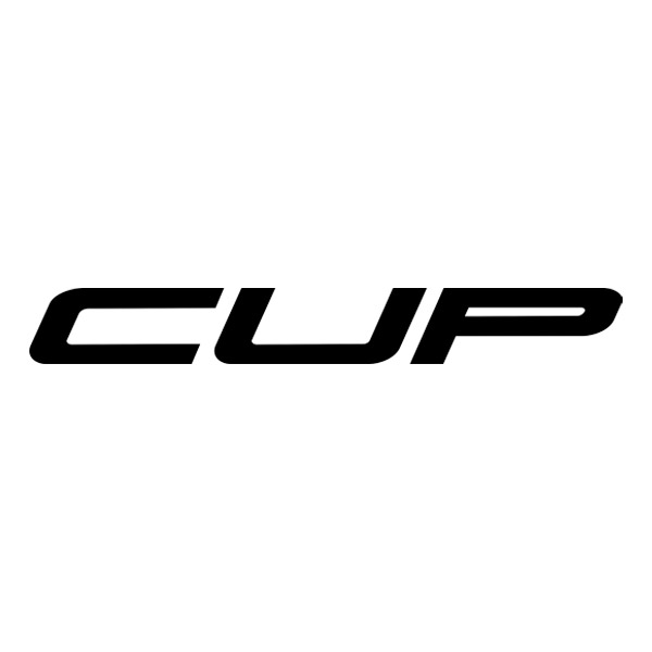 Adesivi per Auto e Moto: Renault Clio Cup