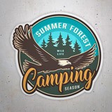 Adesivi per Auto e Moto: Camping Season 3