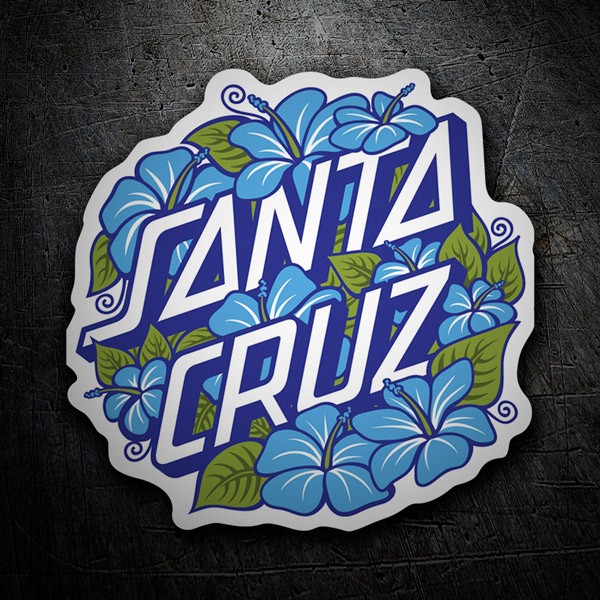 Adesivi per Auto e Moto: Santa Cruz