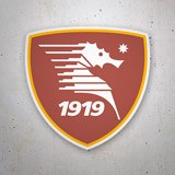 Adesivi per Auto e Moto: US Salernitana 3