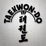 Adesivi per Auto e Moto: Taekwondo 2