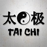 Adesivi per Auto e Moto: Tai Chi Ying Yang 2