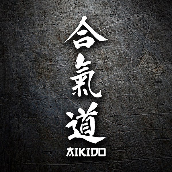 Adesivi per Auto e Moto: Aikido