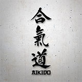 Adesivi per Auto e Moto: Aikido 2