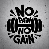 Adesivi per Auto e Moto: No pain no gain 2