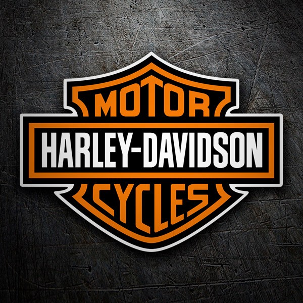 Adesivi per Auto e Moto: Logo Harley Davidson
