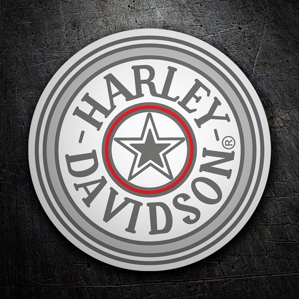 Adesivi per Auto e Moto: Harley Davidson argento