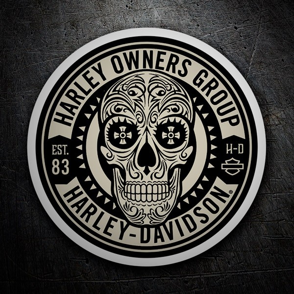 Adesivi per Auto e Moto: Harley Owners Group