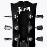 Adesivi per Auto e Moto: Gibson 2
