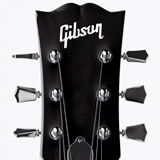 Adesivi per Auto e Moto: Gibson 2