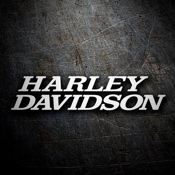 Adesivi per Auto e Moto: Harley Davidson name