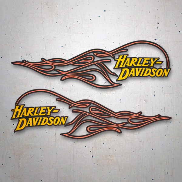 Adesivi per Auto e Moto: Kit fiamme Harley Davidson