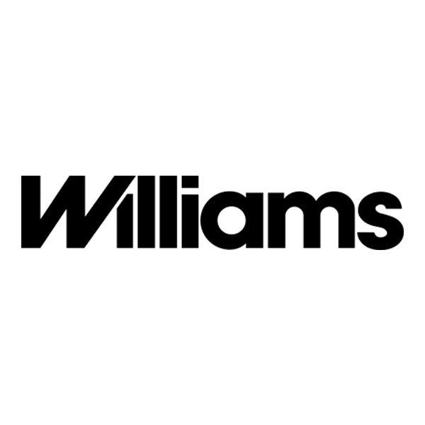 Adesivi per Auto e Moto: Williams II