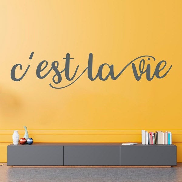 Adesivi Murali: C'est la vie, francese