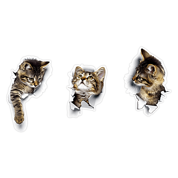 Adesivi Murali: 3 gatti dispettosi
